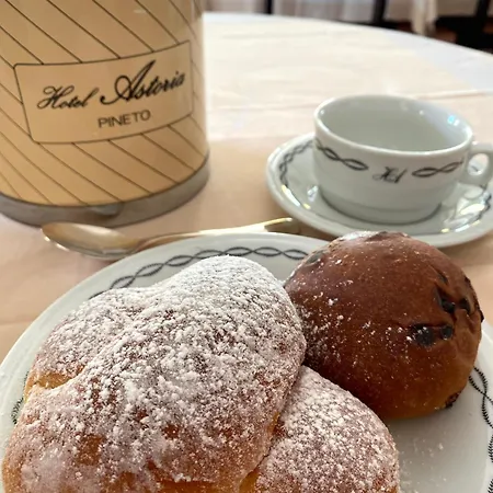 Hotel Astoria Pineto