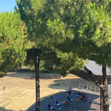 Hotel Astoria Pineto