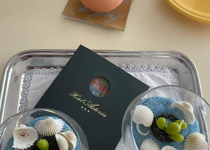 Hotel Astoria Pineto